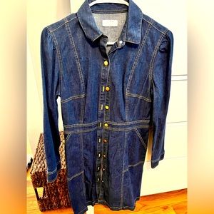 Untuckit Denim Dress